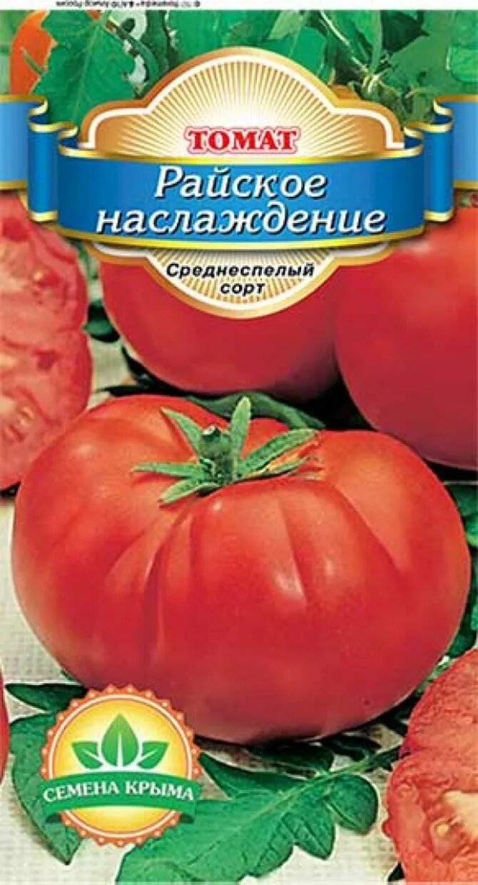 сорт томатов райское наслаждение. сорта помидор для теплицы. помидоры райское наслаждение. томат конус. сорт томатов райское наслаждение.