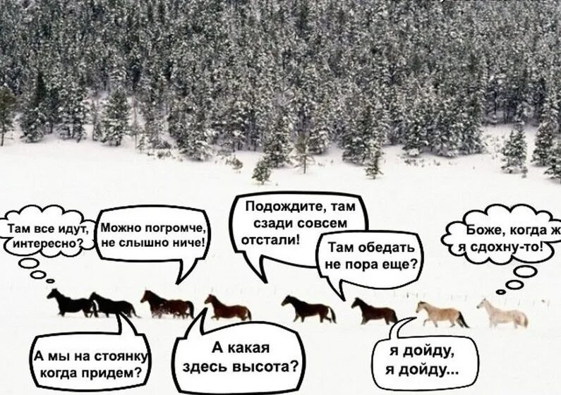Куда идти что происходит