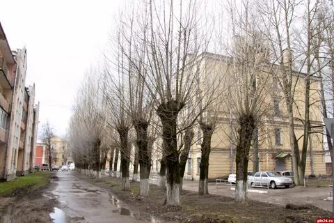 Рижский 35