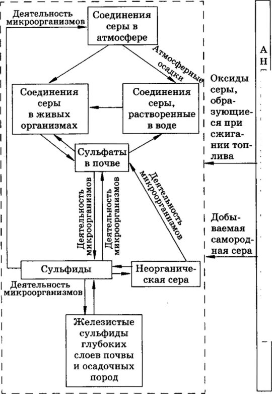 Круговорот серы в природе впр. Круговорот серы схема. Круговорот серы в биосфере. Схема круговорота азота в природе ВПР. Схема круговорота средств предприятия.