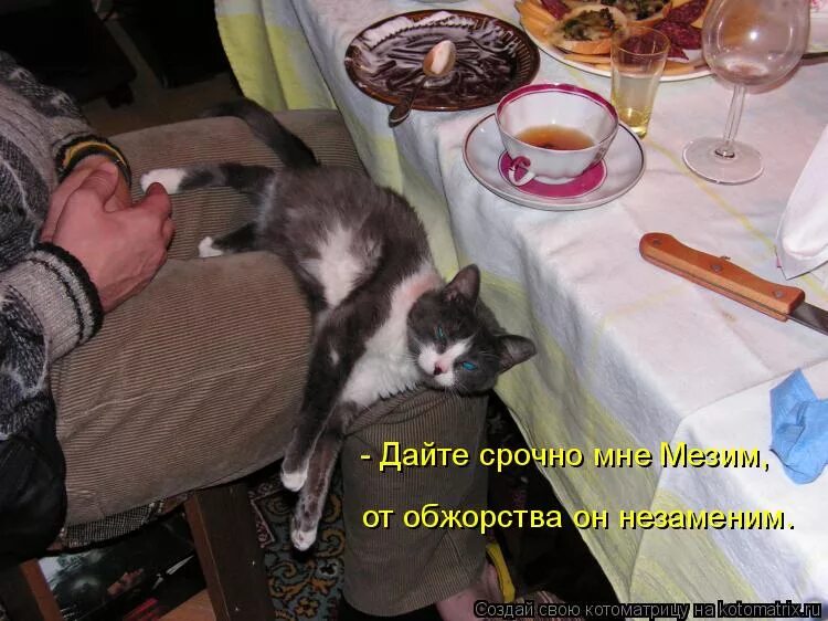 Налитые почему а