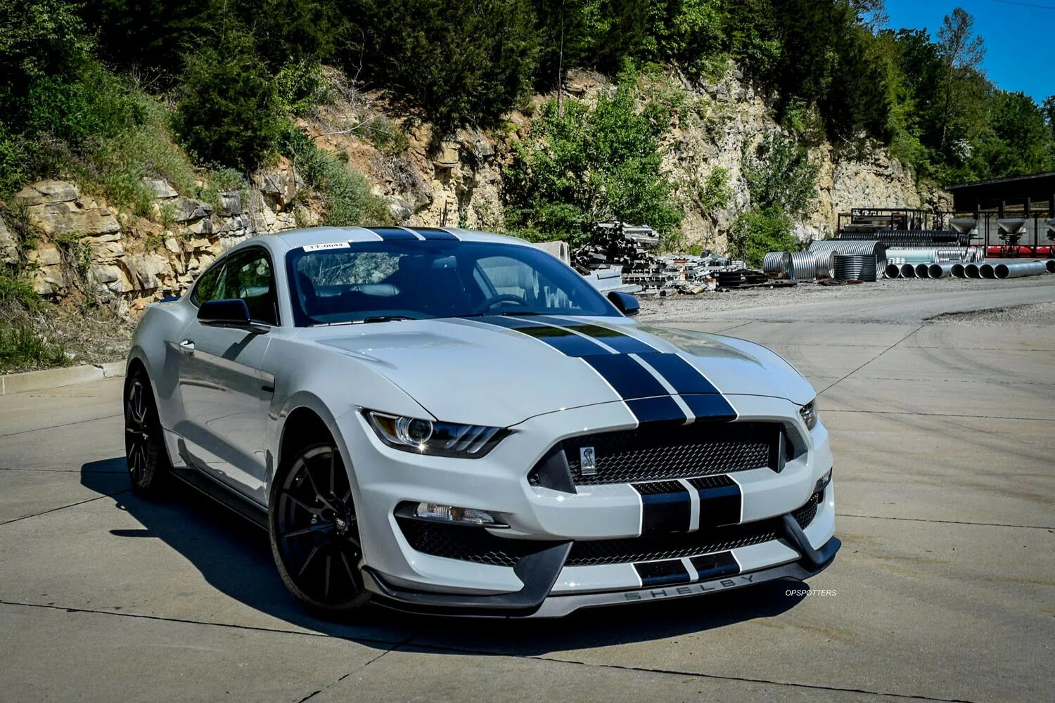 Мустанг джити. Форд Мустанг Shelby gt350. Форд Мустанг Шелби пе 350. Форд Мустанг gt 350. Ford Mustang Shelby 350.