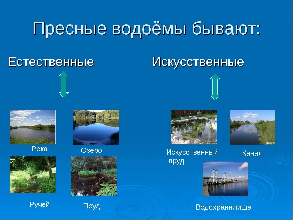 Пресные водоемы. Искусственные пресные водоемы. Название водоемов. Естественные пресные водоемы.