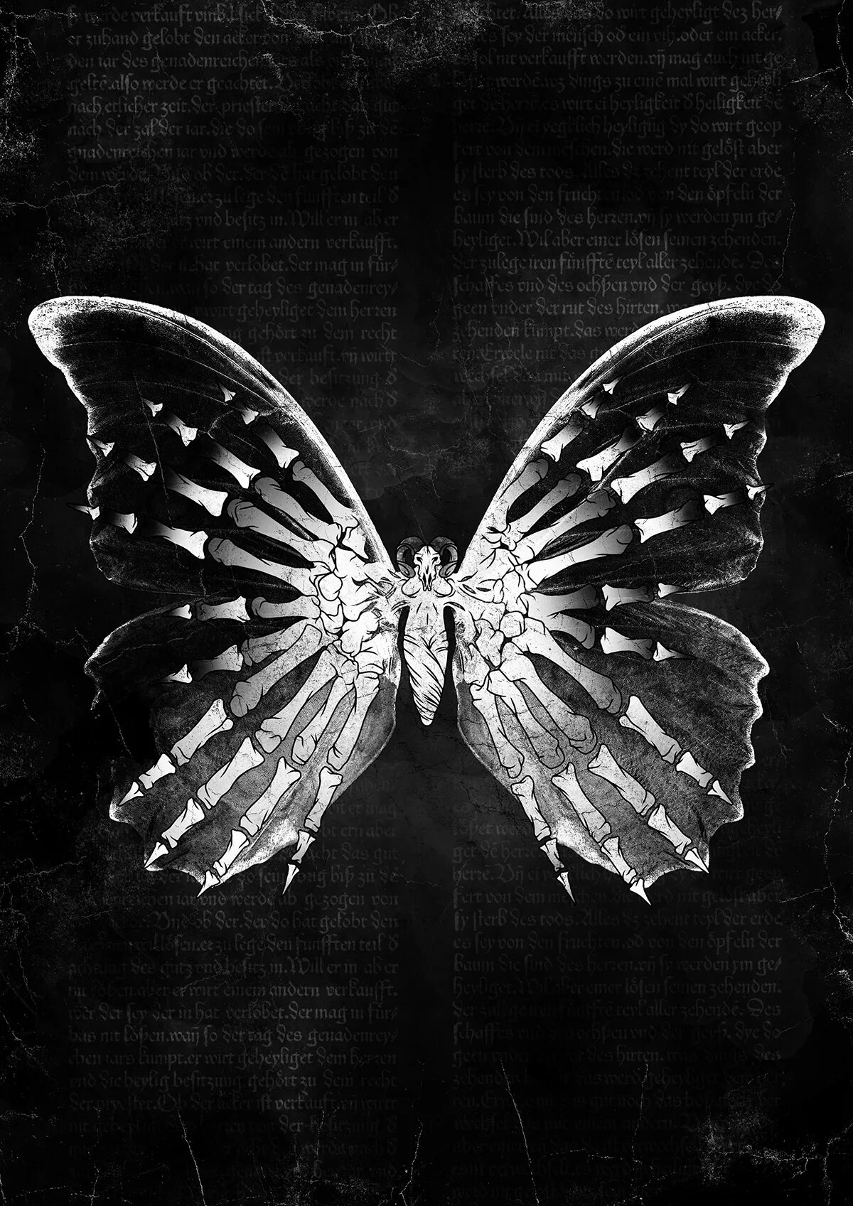 Сохранение темных бабочек в результате. Бабочка. Мрачные бабочки. Темная бабочка. Адская бабочка.