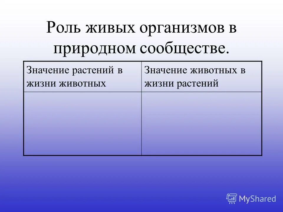 Из перечисленных названий организмов выберите