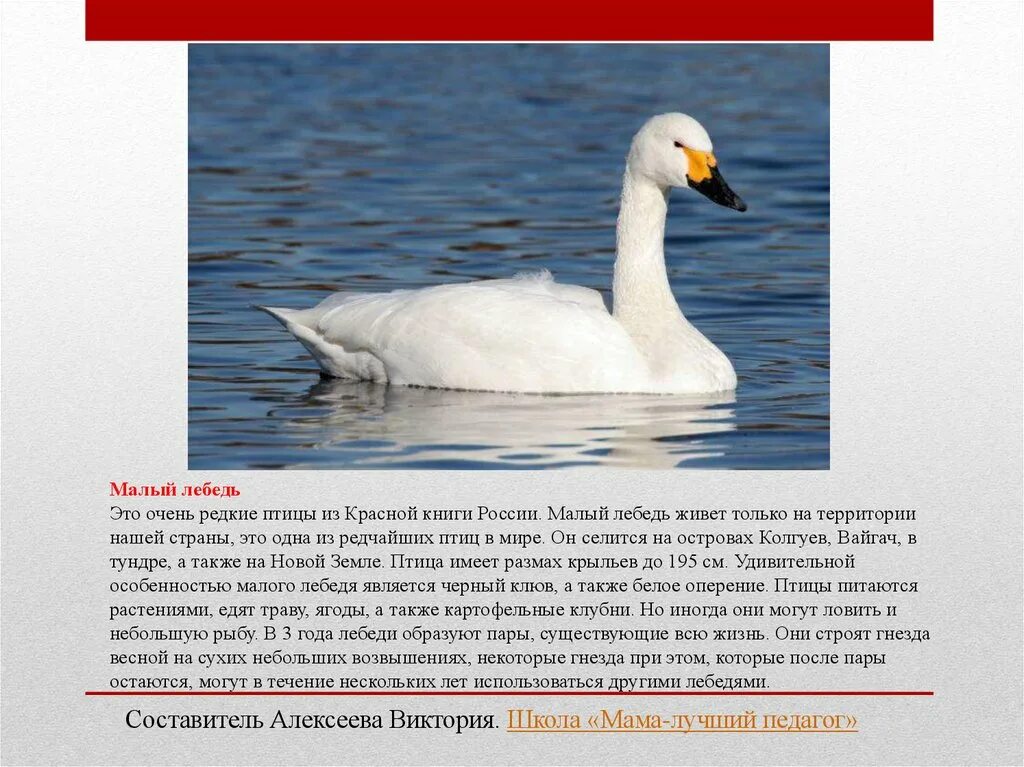 Стенды по предметам - Страница 9 - dzstend Стенды для детского сада, стенды для 