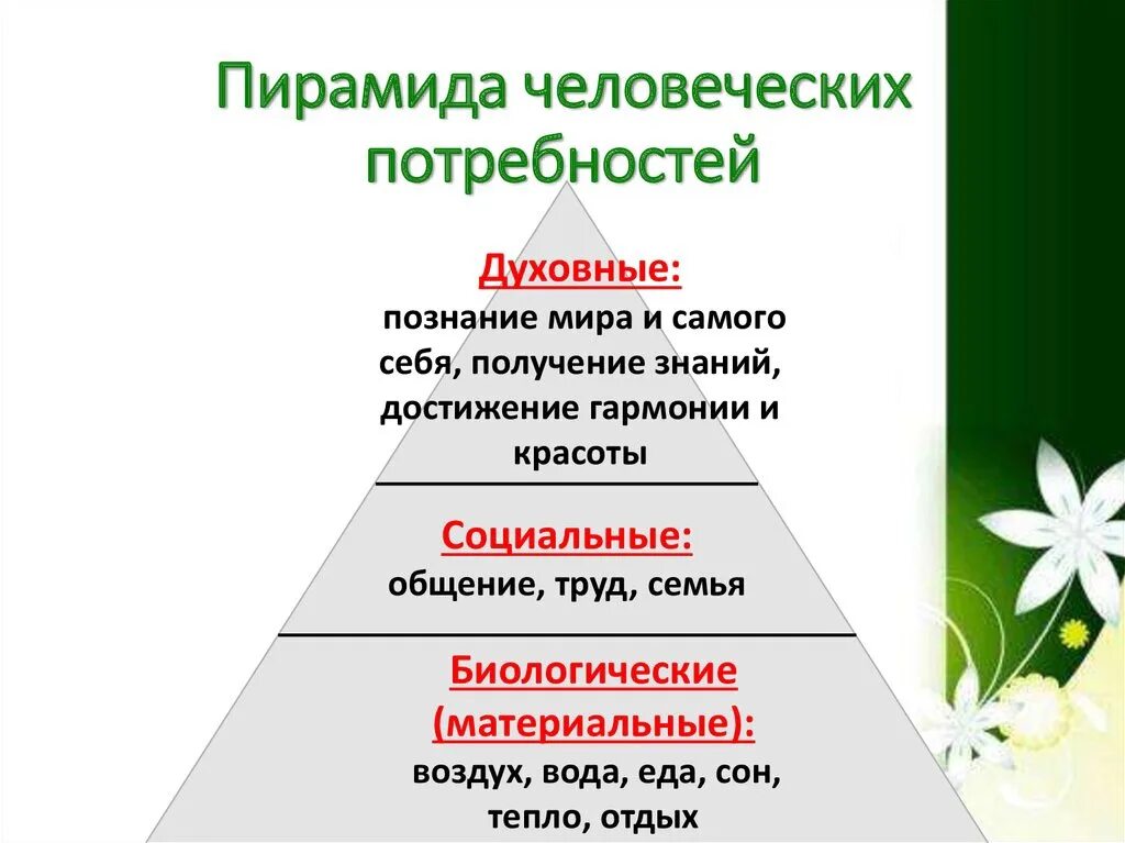 Приведите пример социальных потребностей