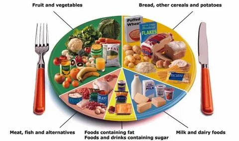 Dairy meat fruit vegetable