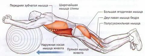 Упражнения на переднюю зубчатую