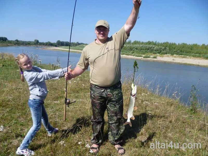 Река чумыш. Рыбалка на реке чумыш. Какая рыба водится в чумыше. Томь чумыш. Томь чумыш.