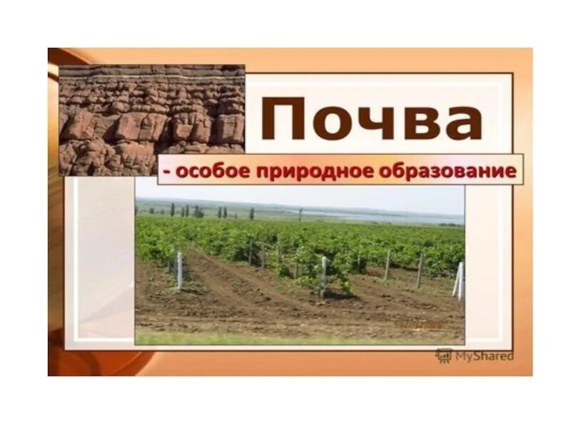Хозяйственное значение почв крыма. Почвы крыма. каштановые почвы крыма. почвы крыма кратко. темно каштановые почвы крыма.