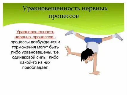 Равновесие нервной системы