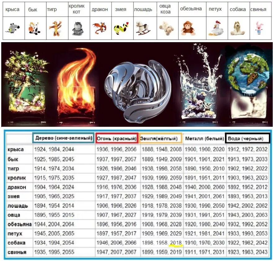 12 лет чей год. Гороскоп по годам. 2023год Кокова животного. Год какого животного. Восточный календарь животных по годам.