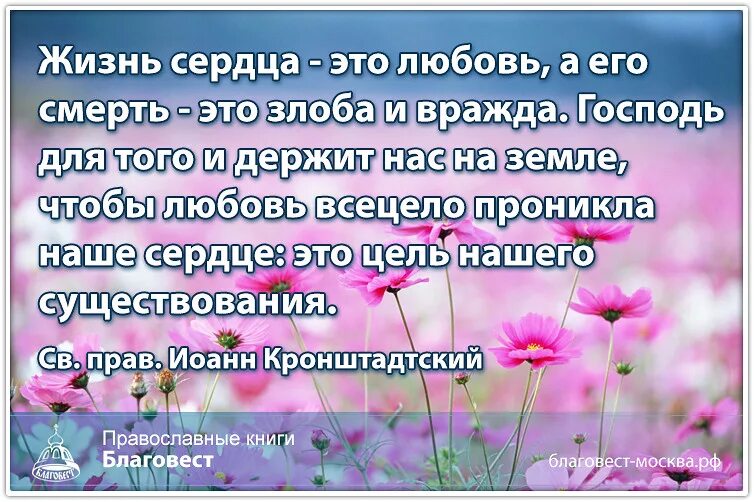 Жизнь сердца это любовь, с смерть это злоба и враждакаартинка. Откроет тебе Господь добрую сокровищницу свою, картинка. Для вражды и злобы это перечисление. С перебитыми сердцами и жизненным