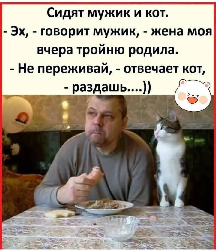 Жена тройню родила не переживай раздашь. Сидят мужик и кот мужик говорит. Жена вчера тройню родила кот раздай. Не переживай раздашь кот.