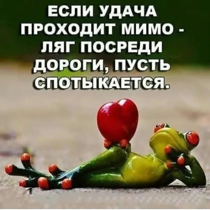 если удача проходит мимо. счастья всем входящим исходящим. если удача проходит мимо. видишь суслика а он. проходи мимо мем.