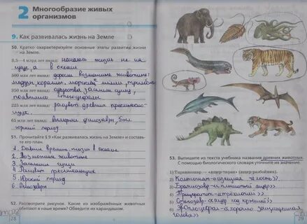 Сравните животных на рисунках 51 и 52
