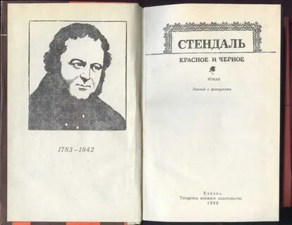 Красное и черное краткое