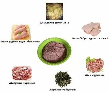 Можно коту давать куриную печень
