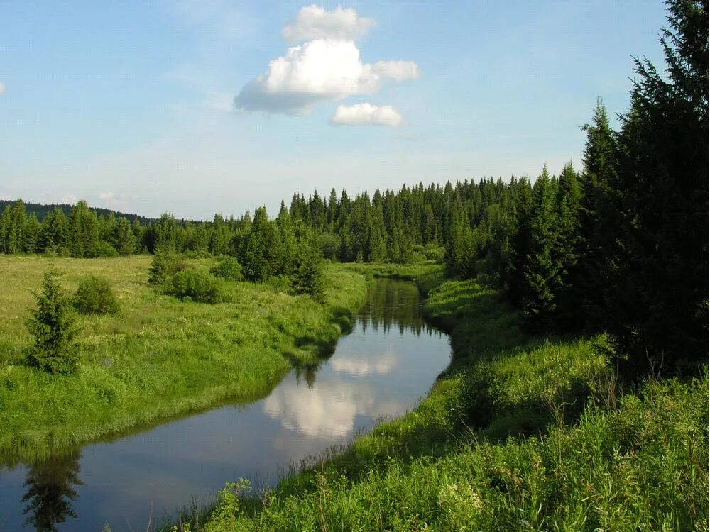 Висимский заповедник река Сулем. Река Сулем Висимского заповедника. Река Сулем Свердловская область. Висимский заповедник Урала.