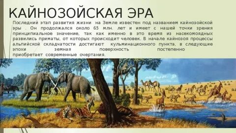 Сколько лет кайнозойской эры