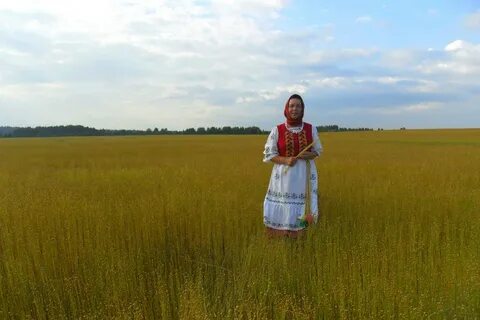 Погода в верховажье на 2