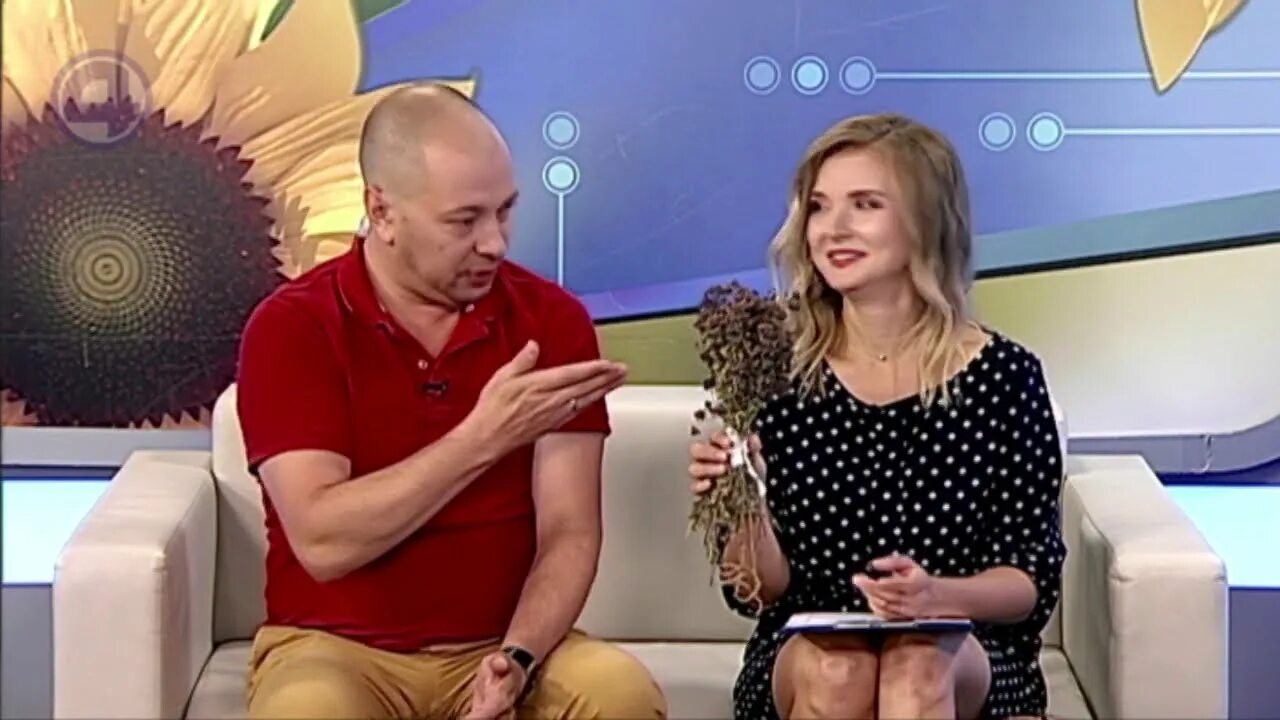 Вести 4 канал. Утренний экспресс ведущие. Утренний экспресс на 4 канале. Ведущие утреннего экспресса на 4 канале. Ведущий 4 канала утренний экспресс.