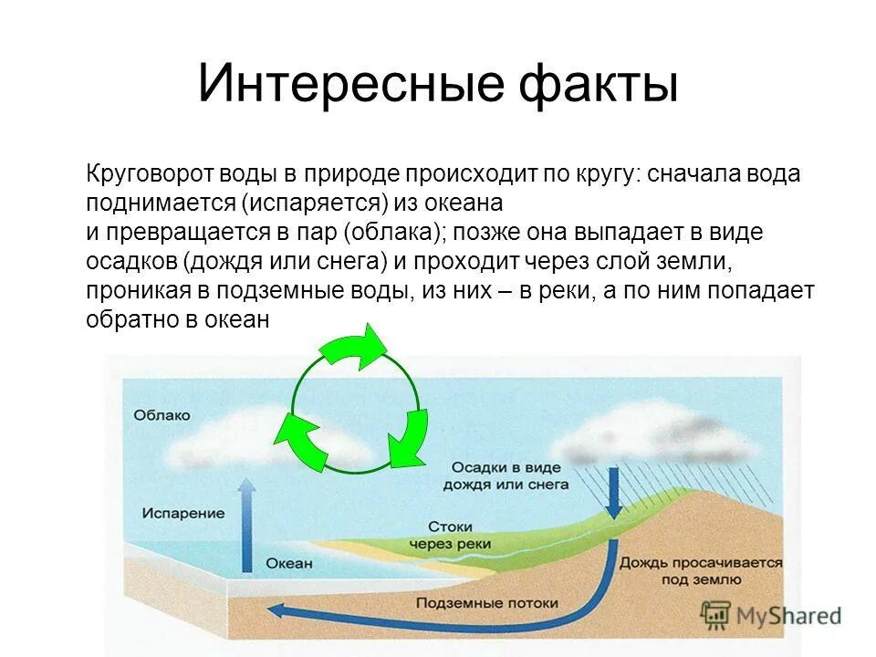 Прошло немного времени роса испарилась воздух. Круговорот воды в природе 7 класс география. Круговорот воды в природе 9 класс биология. Круговорот воды в природе география 5кл.. Логическая схема круговорота воды.