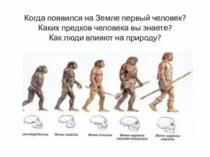 Когда был 1 год на земле