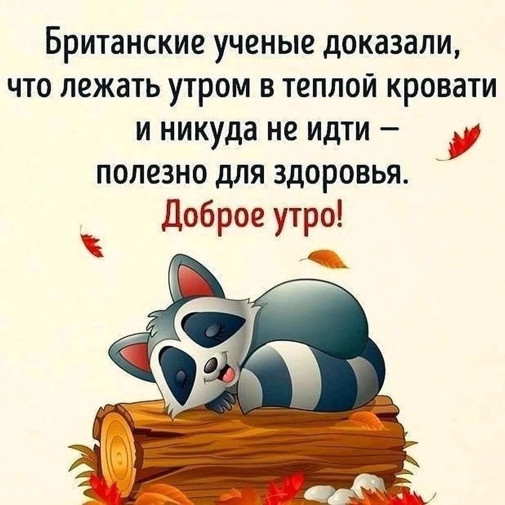 Доброго субботнего утра юмор. Доброе утро юмор. с добрым утром юмор. смешные цитаты с добрым утром. утренний юмор в картинках.