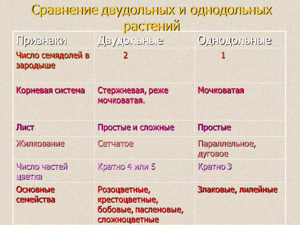 Основные различия однодольных и двудольных растений таблица. Класс Однодольные и двудольные растения. Различия однодольных и двудольных растений таблица. Сравнение классов двудольных и однодольных растений.