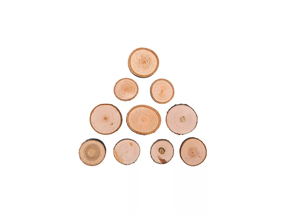 срез дерева липа (25-27см). наб. 5 срез. 5 срез. срезов дерева круглый 3,5см 10шт bl.