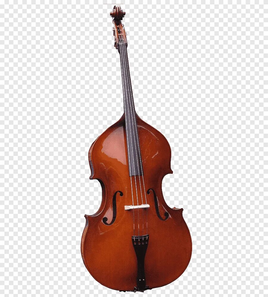 Альтобас инструмент струнный. Violin Viola Cello Double Bass. Viola Альт. Бас Альт скрипка.