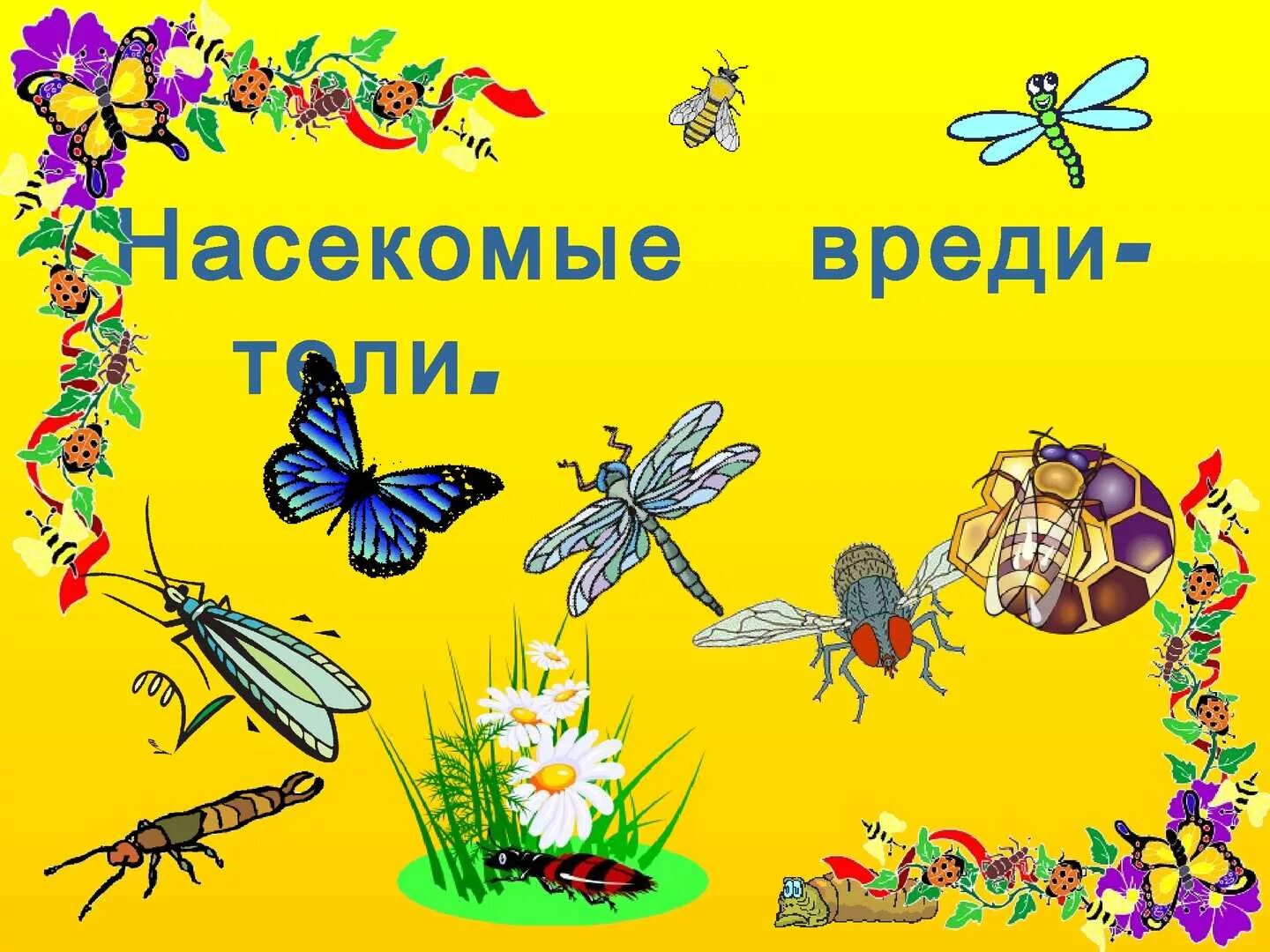 Календарное по теме насекомые. Полезные насекомые для дошкольников. Вредные насекомые для дошкольников. Полезные и вредные насекомые для детей. Полезные насекомые презентация.