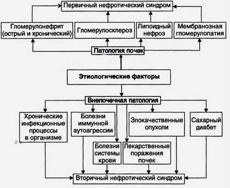 Схема патогенеза нефротического синдрома. Причина и патогенез нефротического синдрома. Основные клинические синдромы хронического гломерулонефрита. Хронический нефритический синдром патогенез.