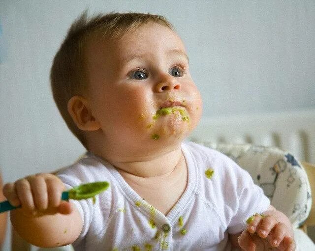 Выплевывает прикорм. Ребенок не ест прикорм. Ребенок отказывается от овощей в прикорме. Малыш на гв плохо ест прикорм.