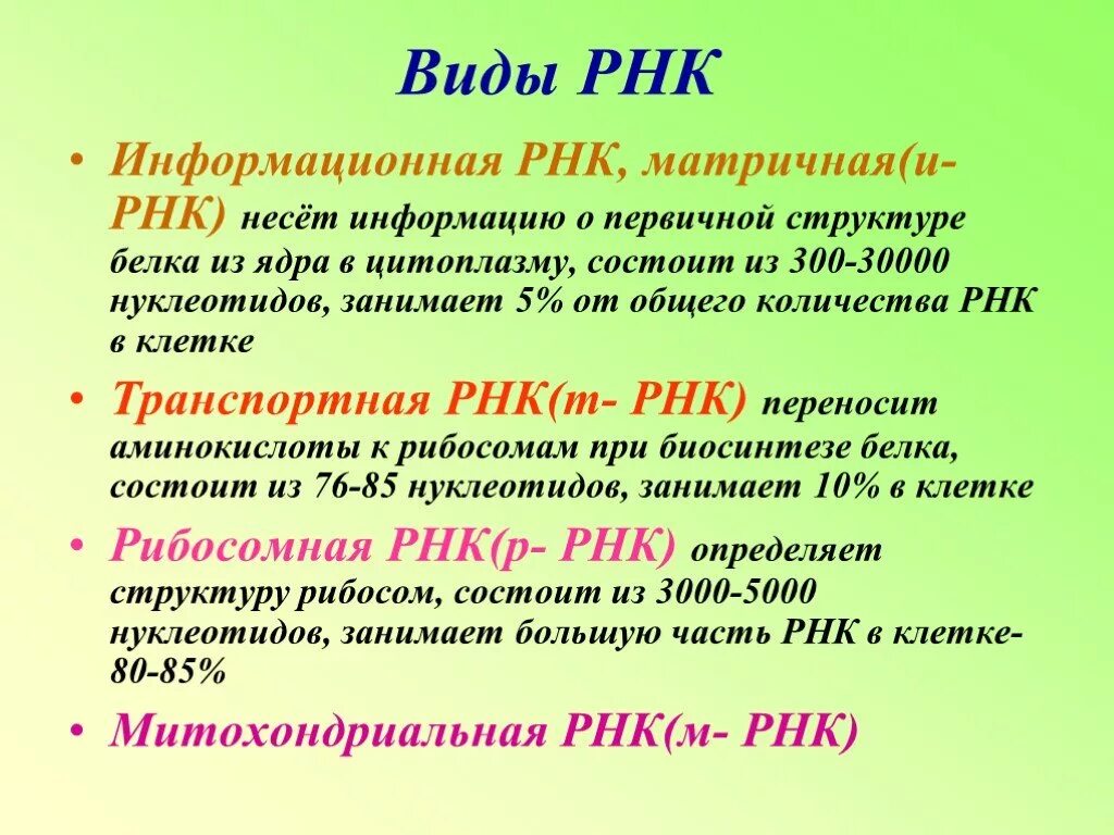 Виды рнк характеристика. Строение и функции разных видов РНК. Основные функции РНК. Структура и функции РНК (разновидности, структура).. Перечислите типы РНК И их функции.