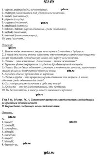 Решебник по activity book 6 класс