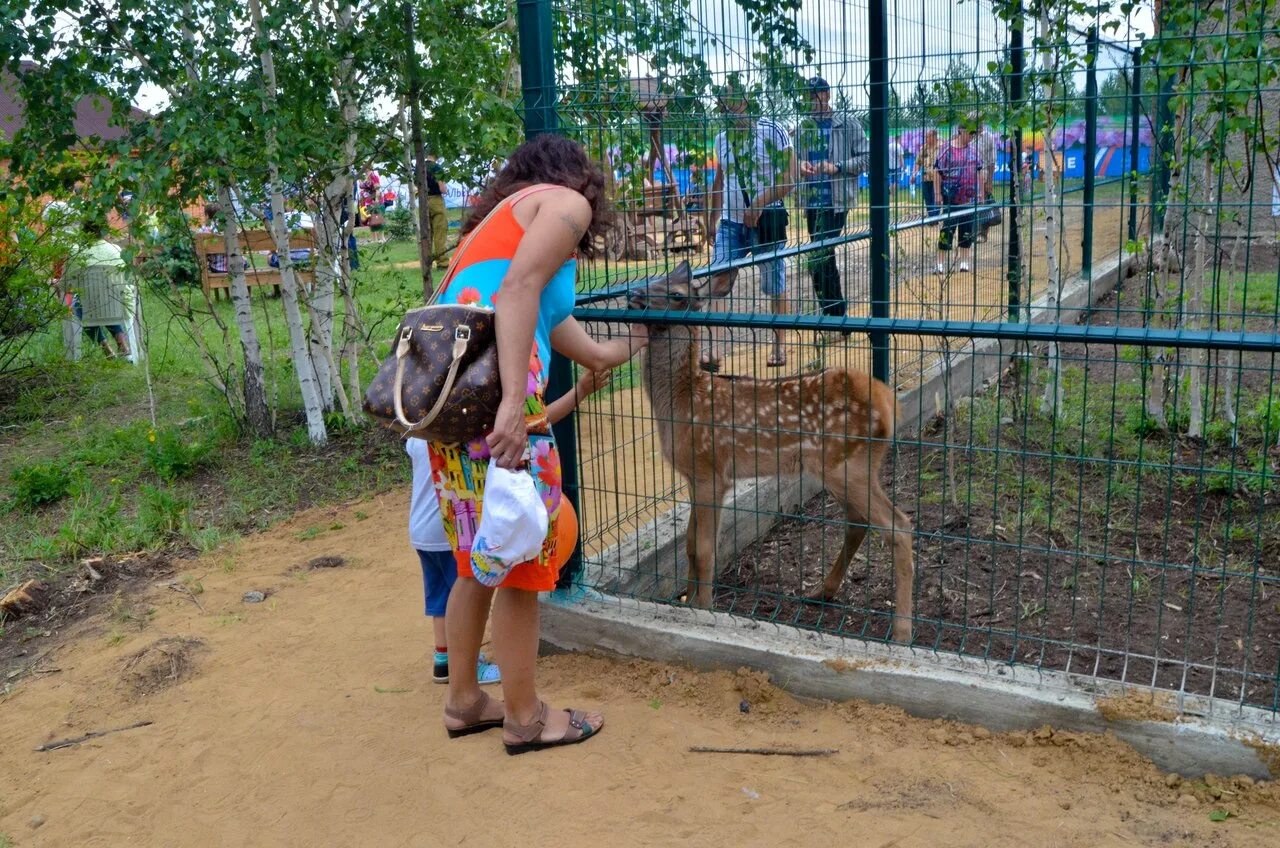 Амодово Чита. Зоопарк Амодово в Чите. Амодова Читинмкий зоопарк. Питомник Амодово Чита. Зоопарк коды