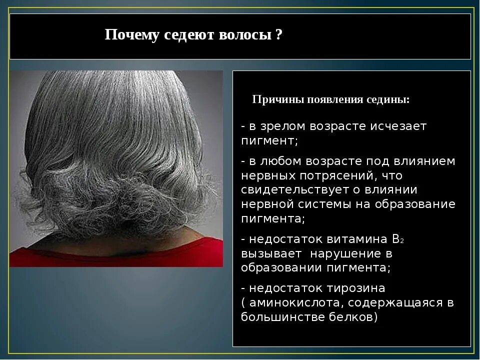 Почему седые волосы у молодых. Причины поседения волос. Седые волосы. Почему седеют. Преждевременное поседение волос.