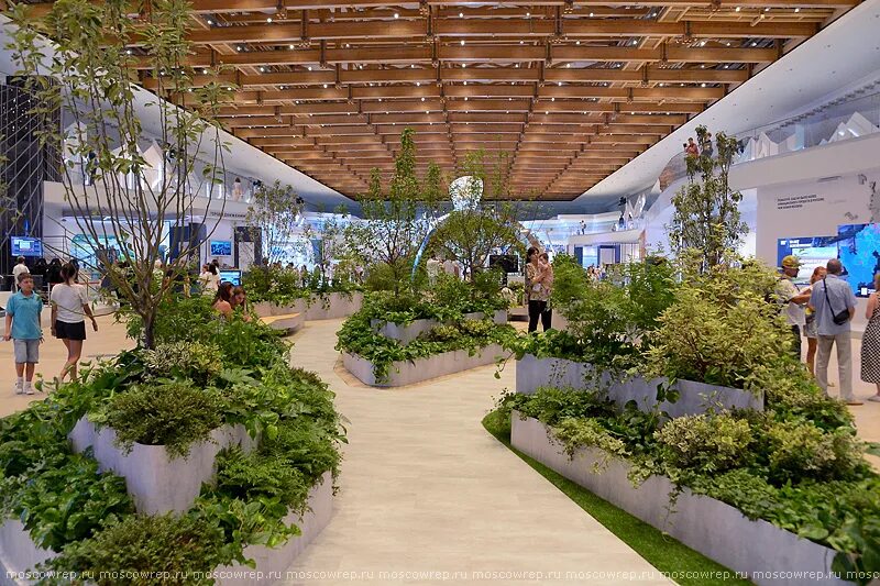 выставка город для каждого москва 2022. москоу урбан форум 2022. муф 2022. московский форум манеж. московский форум манеж.