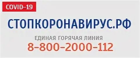 31 19 8