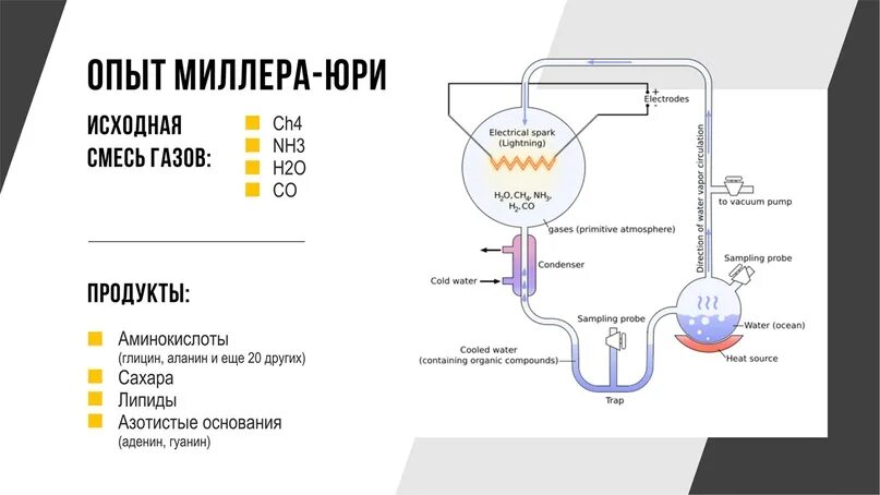 Установка миллера. Эксперимент Стэнли Миллера. Опыт Миллера и Юри. Эксперимент Миллера - Юри. Эксперимент Стэнли Миллера кратко.