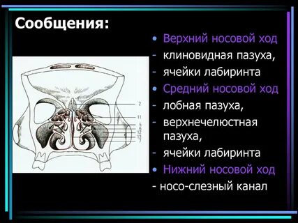 Верхние ходы