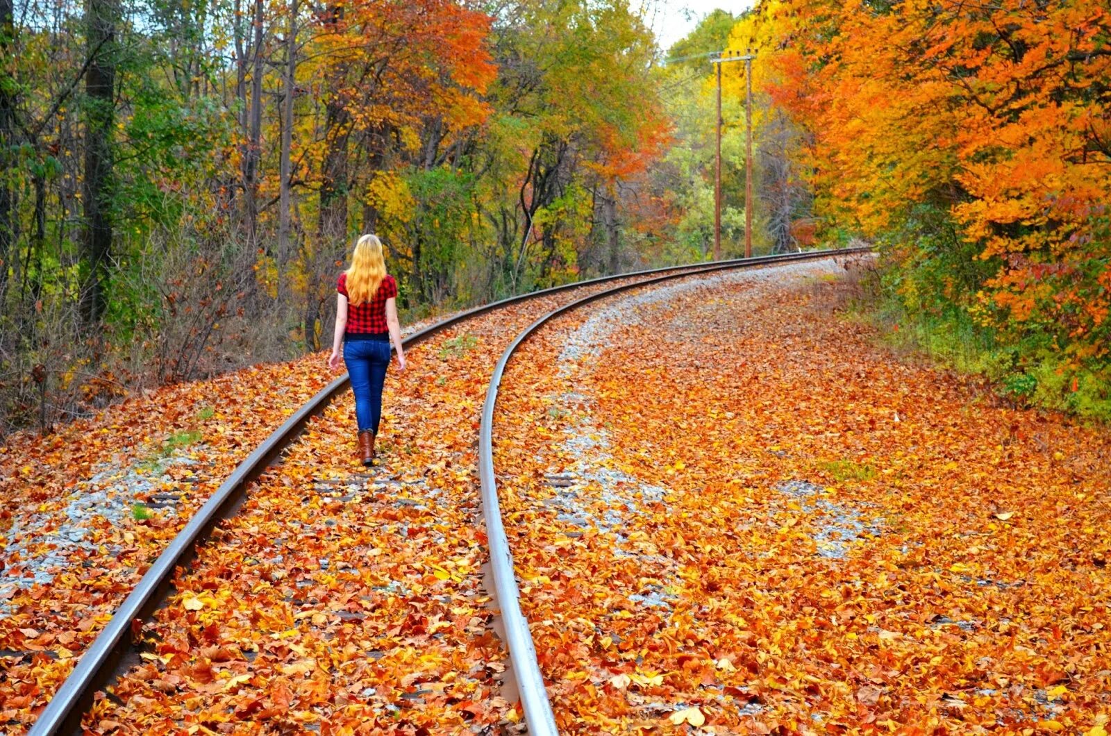 Времена года осень. Осенняя дорога. Конец осени. Что идет перед осенью. Осенняя грусть.