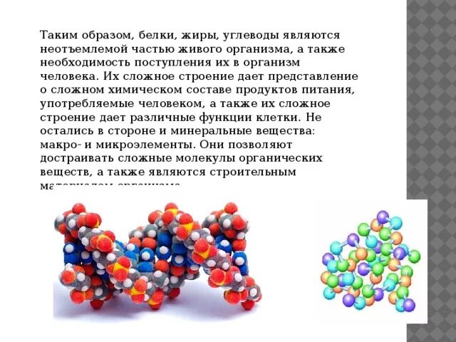 Также белки и жиры. Белки жиры углеводы молекулы. Молекула белка. Белок углевод жир молекулярная структура. Белки химия строение.