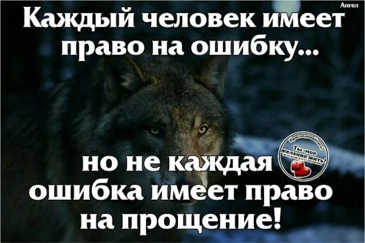 Каждый имеет право быть собой. Каждый человек имеет право на ошибку. Каждый человек имеет право на прощение. Каждый человек имеет право на ошибку главное. У каждого есть право на ошибку.