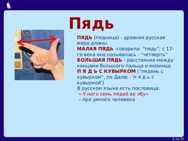 Пословицы со словом пядь. Пословица пядь. Пядь фразеологизм. Старинные русские меры длины в пословицах и поговорках. Пословицы и поговорки о старинных мерах.