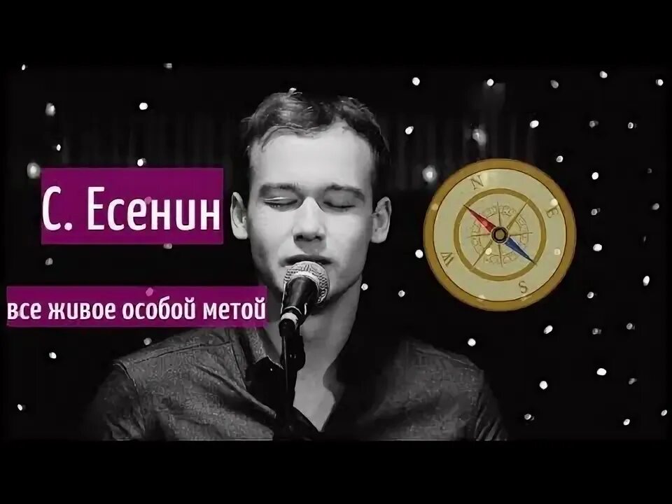 Особой метой. Всё живое особой метой Есенин. Есенин все живое особой метой. Стихотворение все живое особой метой. Живые особый.