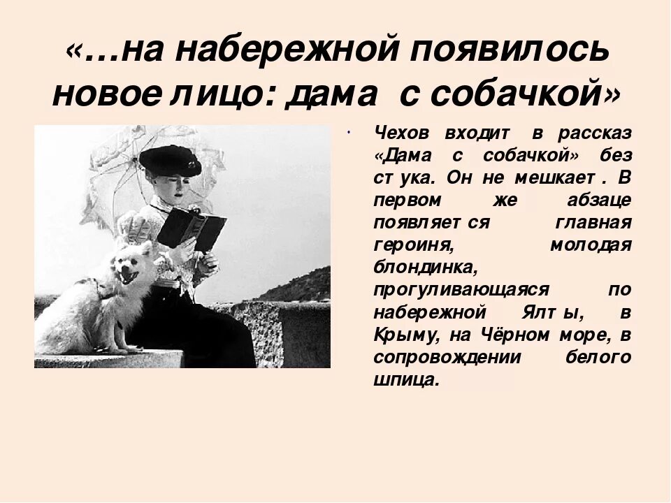 О любви чехов читать 8 класс. Чехов а.п. "дама с собачкой". Дама с собачкой произведение. Дама с собачкой кратко. Рассказ Чехова дама с собачкой.